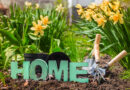 Pierwsze oznaki wiosny już widoczne. Jak przygotować swój ogród na nowy sezon?